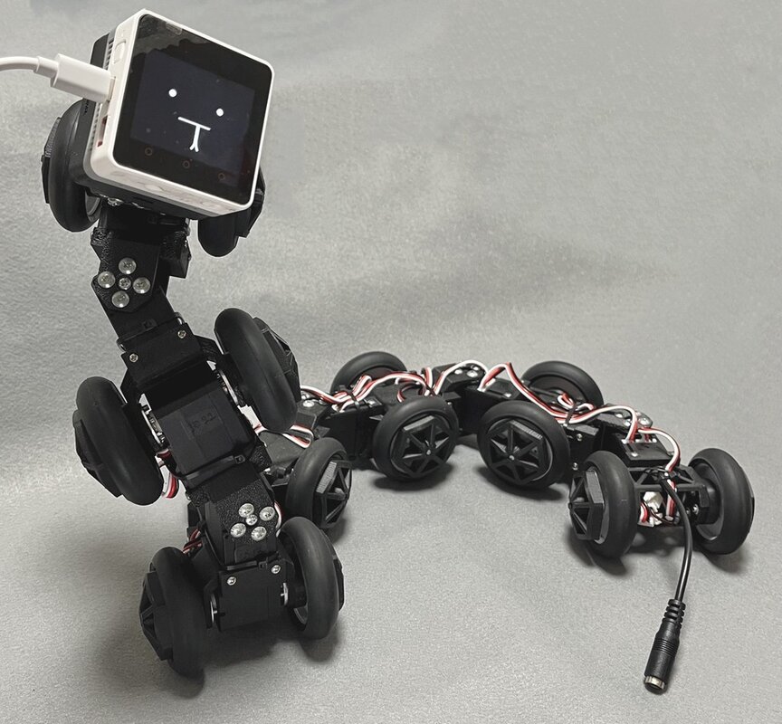ヘビ型ロボット，車輪型倒立振子